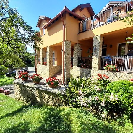 Harmonia Wellness Villa Сильвашварад Экстерьер фото