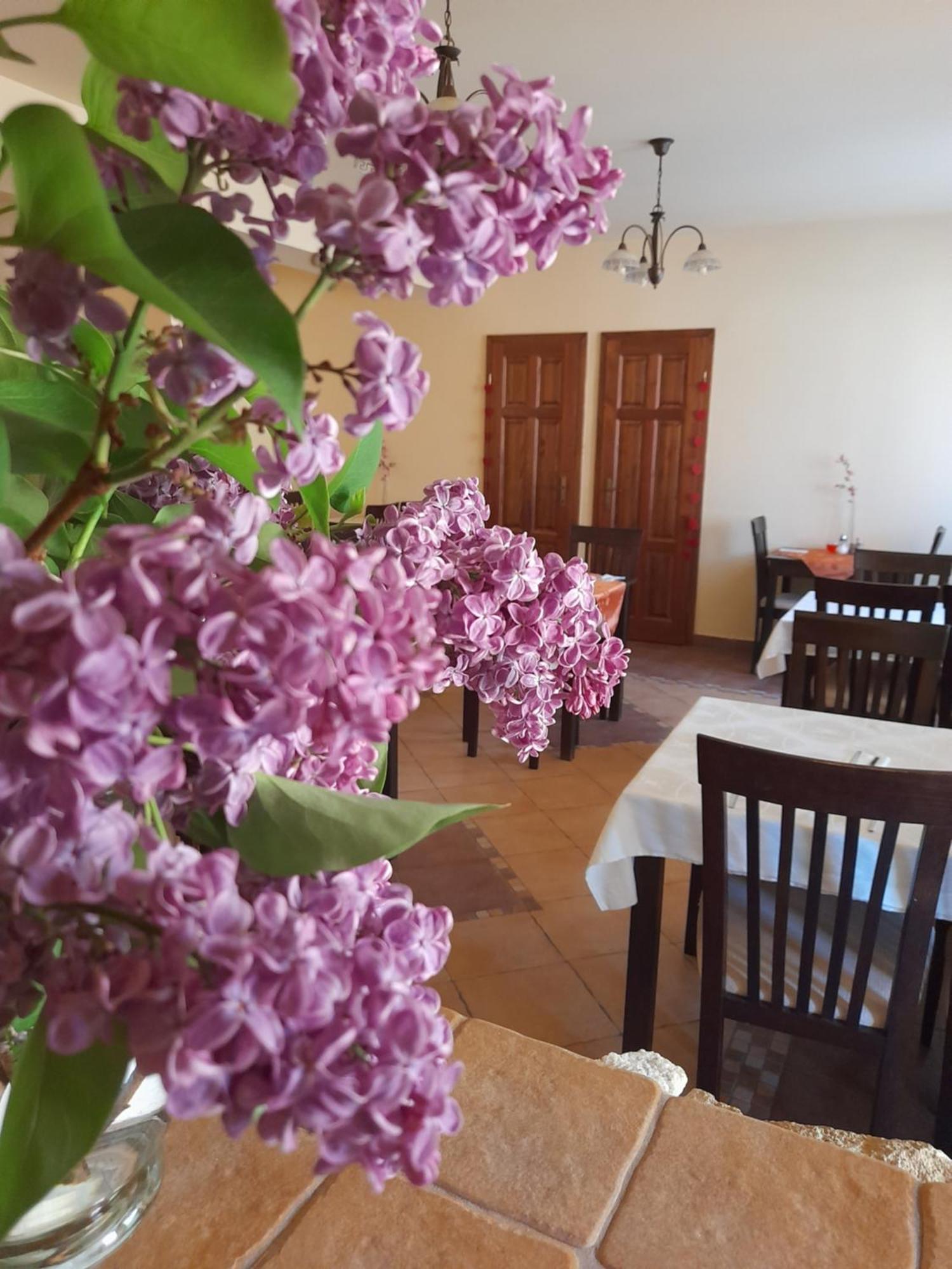 Harmonia Wellness Villa Сильвашварад Экстерьер фото